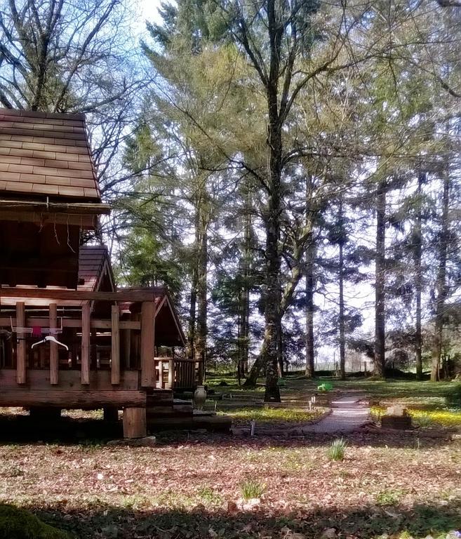 Chambres D'Hotes La Gargaille Alièze Εξωτερικό φωτογραφία